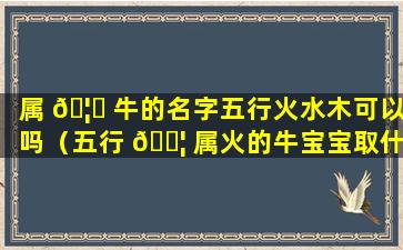 属 🦋 牛的名字五行火水木可以吗（五行 🐦 属火的牛宝宝取什么名字好）